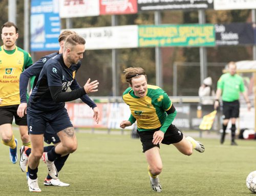 Huizen – DHSC