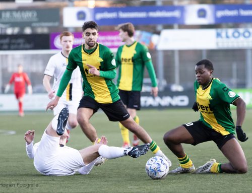 Somber: Huizen – DVS’33