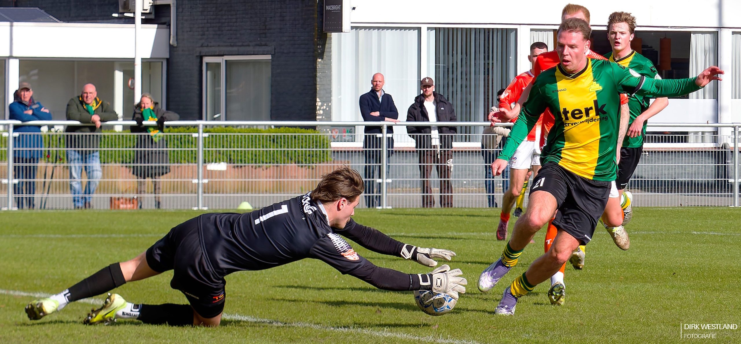 20260328-P3283707 – dani