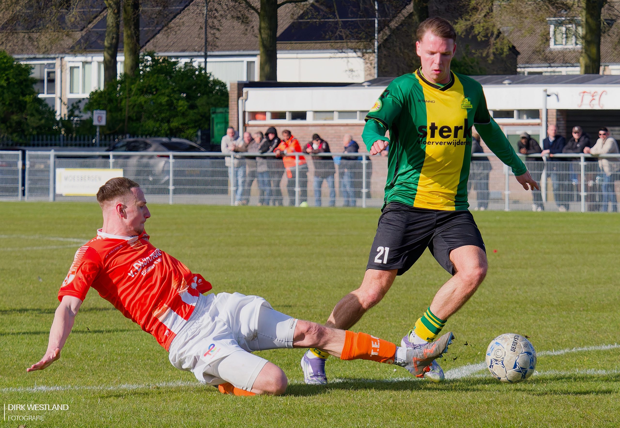 20260328-P3284459 – dani