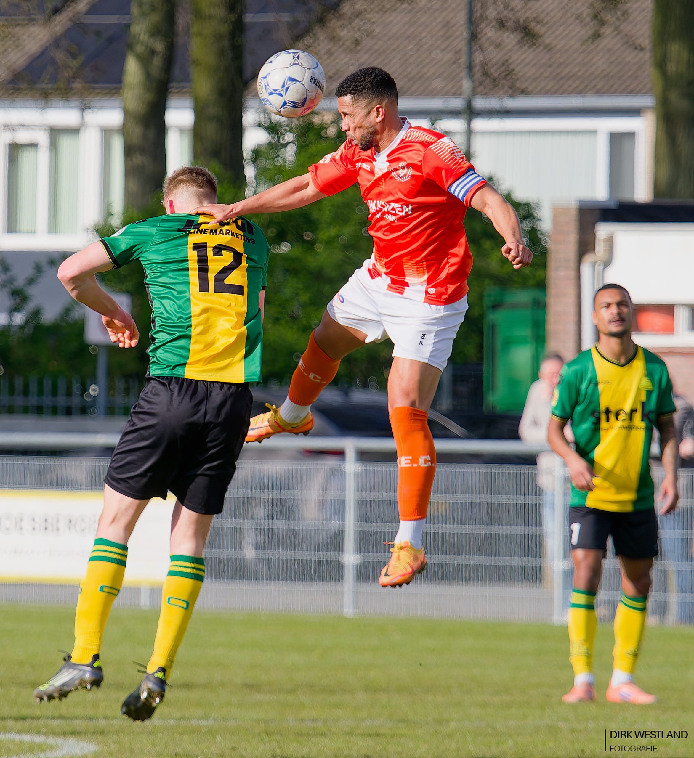 20260328-P3284585 – tijmen