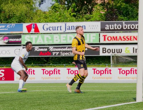 Ontluistering: DVS’33 – Huizen