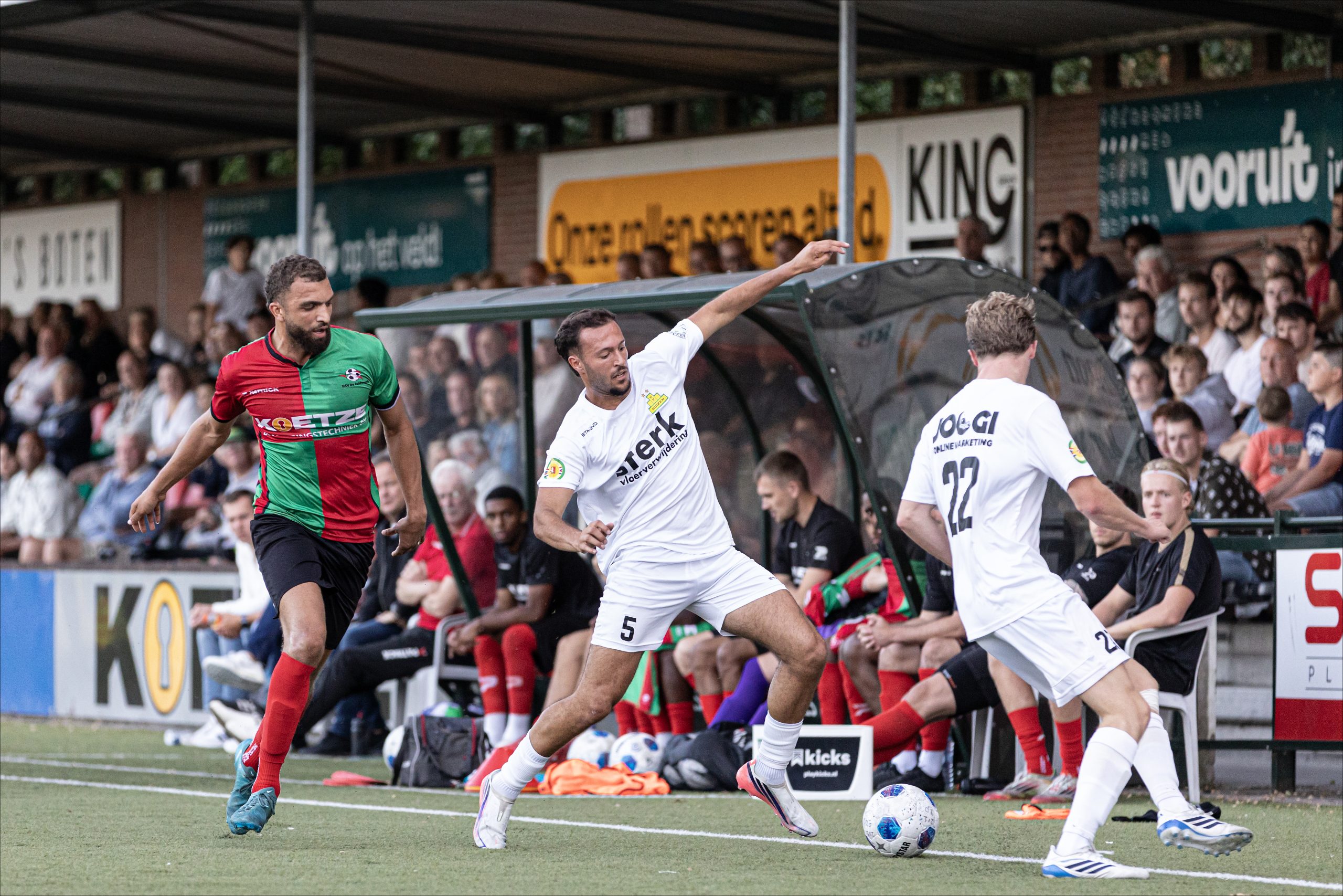 20260811-Zuidvogels-Huizen-A65A9784a kopie