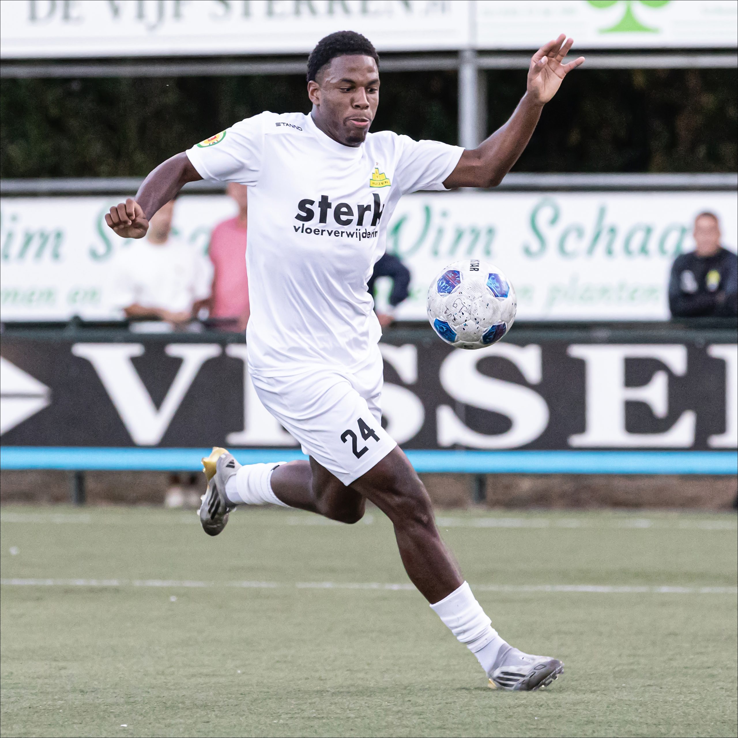 20260811-Zuidvogels-Huizen-A65A9849 kopie